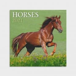 Dayspring Horses Brown Wall Calendar J1809 - Calendars