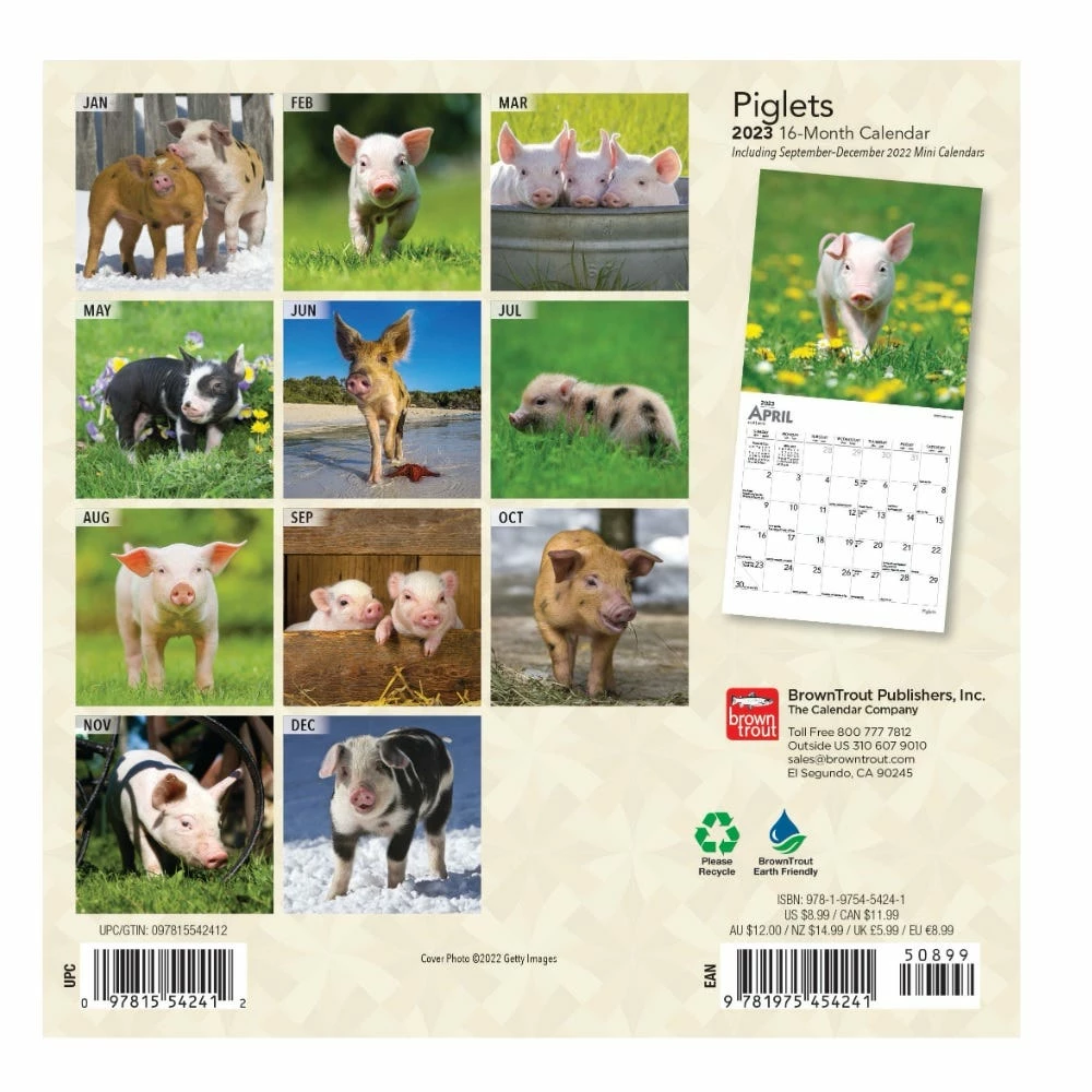 Brown Trout Piglets 2023 Mini 7x7 Calendar - Calendars - Image 2