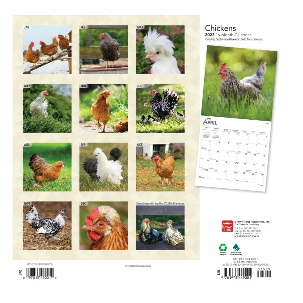 Brown Trout Chickens 2023 Square Calendar - Calendars - Image 2