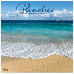 Brown Trout Beaches 2023 Square Foil Calendar - Calendars