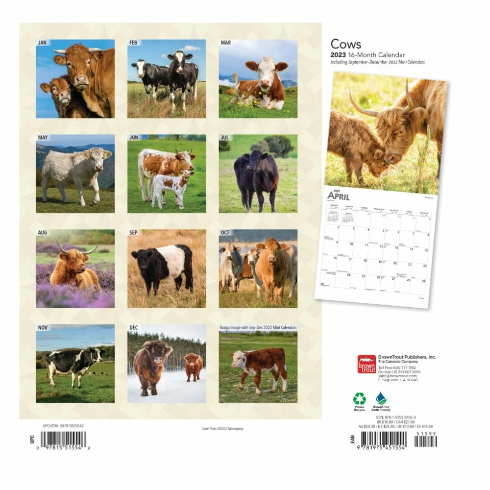 Brown Trout Cows 2023 Square Calendar - Calendars - Image 2