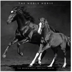Brown Trout The Noble Horse Portrait Series 2023 Square Calendar - Calendars