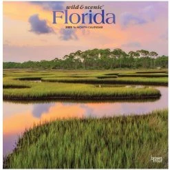 Brown Trout Florida Wild & Scenic 2023 Square Foil Calendar - Calendars