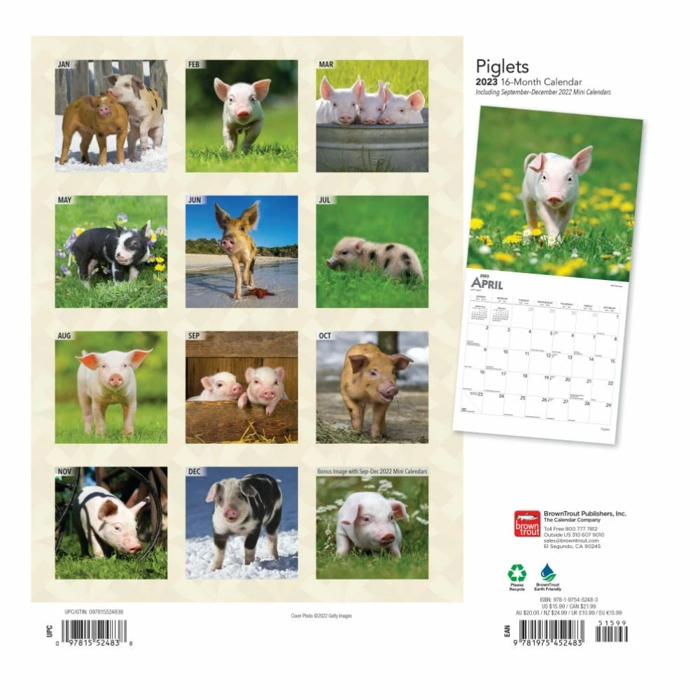 Brown Trout Piglets 2023 Square Calendar - Calendars - Image 2