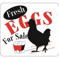Signs Up Fresh Eggs 31027 - Wall Decor