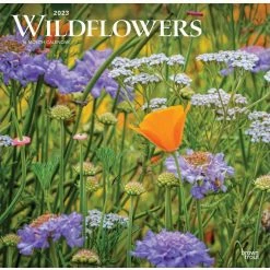 Brown Trout Wildflowers 2023 Square Calendar - Calendars