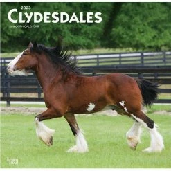 Brown Trout Clydesdales 2023 Square Calendar - Calendars