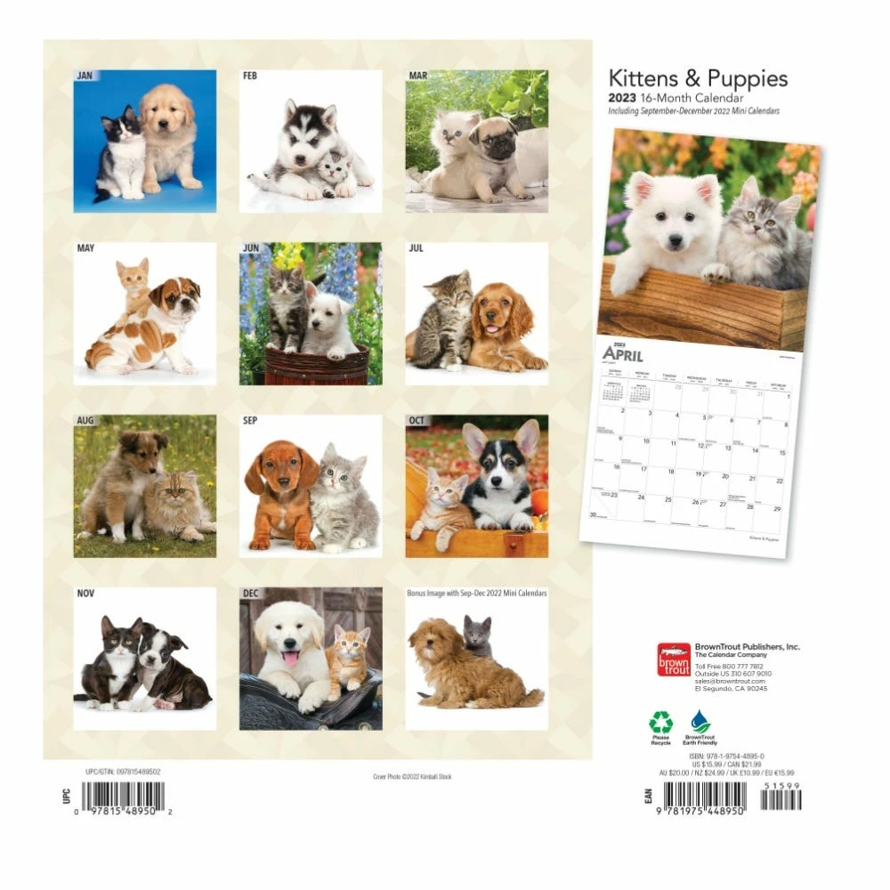 Brown Trout Kittens & Puppies 2023 Square Foil Calendar - Calendars - Image 2