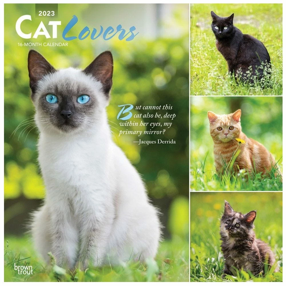 Brown Trout Cat Lovers 2023 Square Foil Calendar - Calendars
