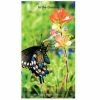 Brown Trout In the Garden 2023-24 Monthly Pocket Planner - Calendars