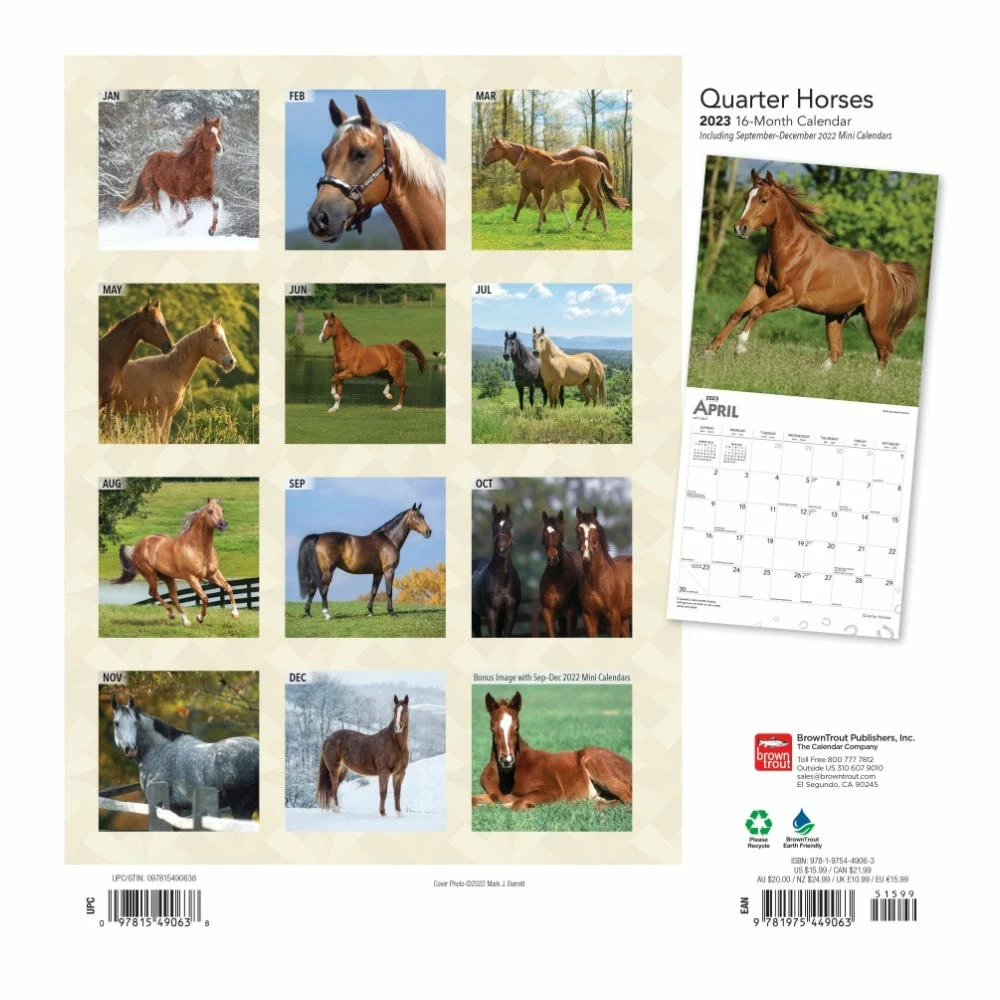 Brown Trout Quarter Horses 2023 Square Calendar - Calendars - Image 2