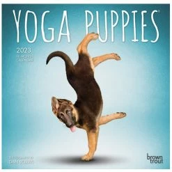 Brown Trout Yoga Puppies 2023 Mini 7x7 Calendar - Calendars