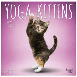 Brown Trout Yoga Kittens 2023 Mini 7x7 Calendar - Calendars