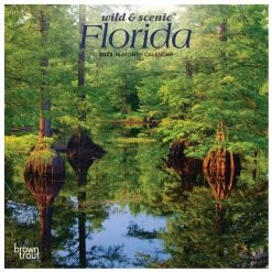 Brown Trout Florida Wild & Scenic 2023 Mini 7x7 Calendar - Calendars