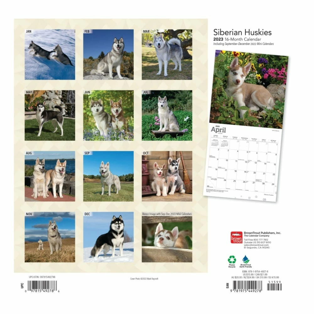 Brown Trout Siberian Huskies 2023 Square Foil Calendar - Calendars - Image 2