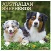 Brown Trout Australian Shepherds 2023 Square Foil Calendar - Calendars