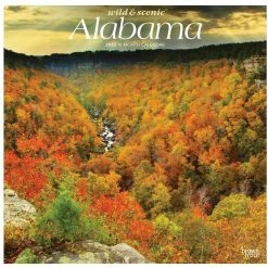 Brown Trout Alabama Wild & Scenic 2023 Square Calendar - Calendars