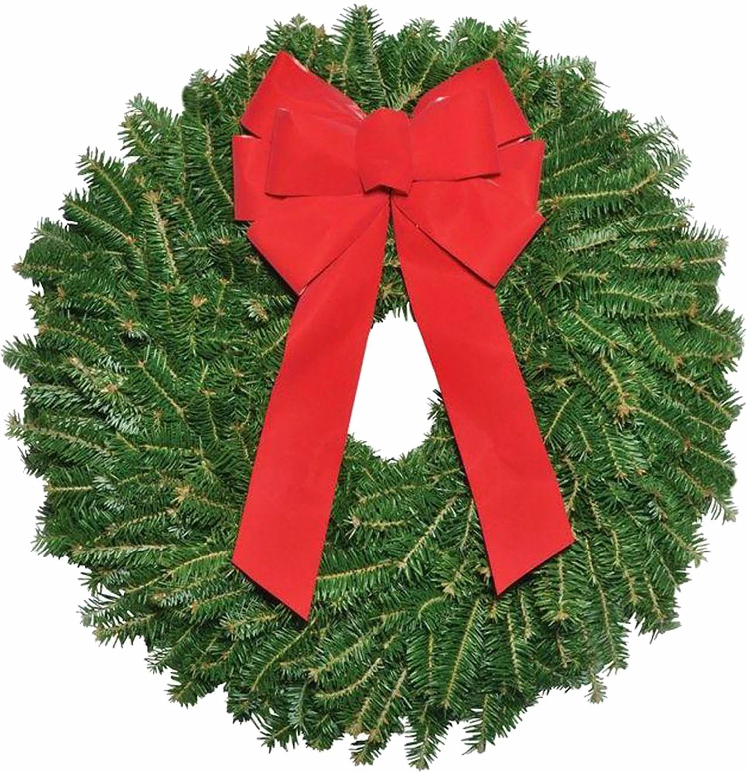 Various Brands 22 inch Fraser Fir Wreath - Décor