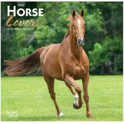 Brown Trout Horse Lovers 2023 Mini 7x7 Foil Calendar - Calendars
