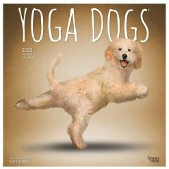 Brown Trout Yoga Dogs 2023 Square Calendar - Calendars