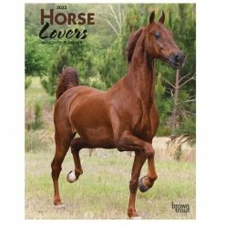 Brown Trout Horse Lovers 2023 Monthly Planner - Calendars