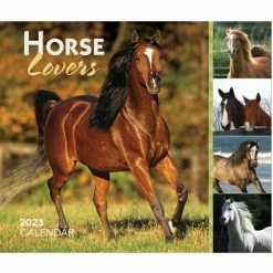 Brown Trout Horse Lovers 2023 Box - Calendars