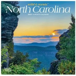 Brown Trout North Carolina Wild & Scenic 2023 Mini 7x7 Calendar - Calendars