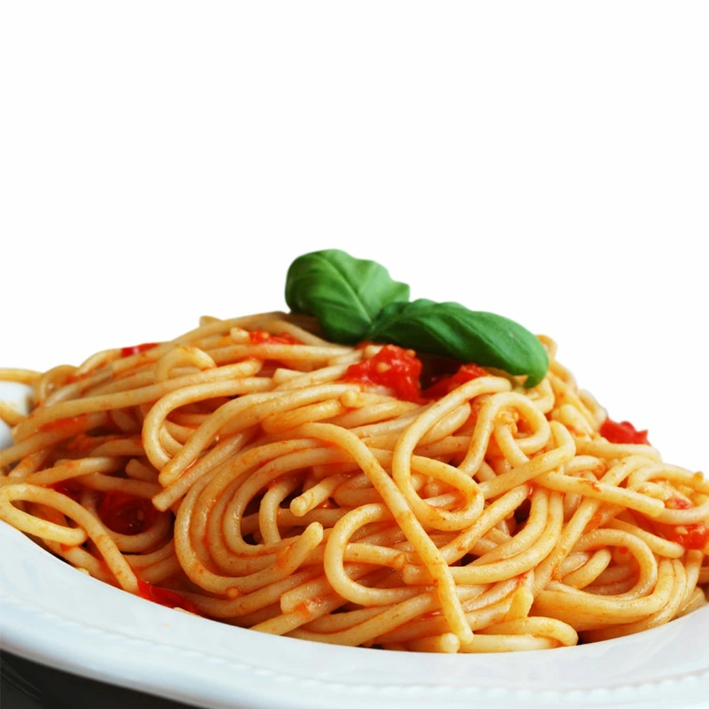 Toastmaster Single Burner with Adjustable Temp Control, 750 Watt - TM-10SB - Other Cooking Appliances - Image 5