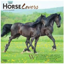 Brown Trout Horse Lovers 2023 Square Foil Calendar - Calendars