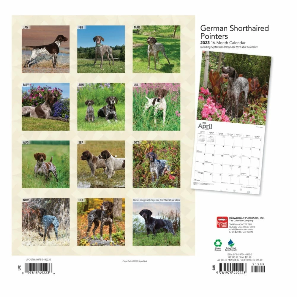 Brown Trout German Shorthaired Pointers 2023 Square Foil Calendar - Calendars - Image 2