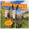 Brown Trout Jackasses 2023 Square Calendar - Calendars
