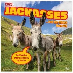 Brown Trout Jackasses 2023 Square Calendar - Calendars