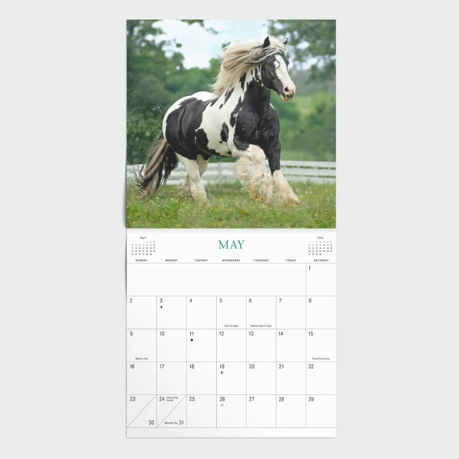 Dayspring Horses Brown Wall Calendar J1809 - Calendars - Image 2