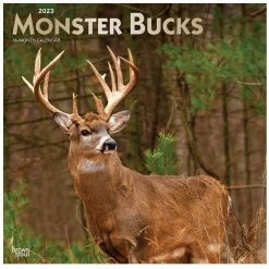 Brown Trout Monster Bucks 2023 Square Foil Calendar - Calendars